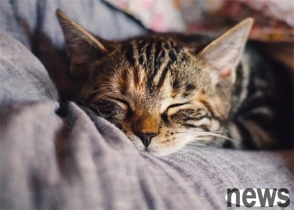 Do you know what cats are crashing?