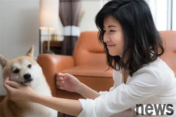 Newbie keeping dogs: Are you ready? Save it quickly!