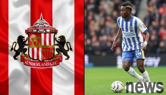 Nearly 120 million has been spent❗Romano: Sunderland signed Adigra HWG! The total transfer fee is 24 million euros