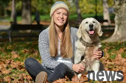 Three causes, symptoms and precautions for dogs to suffer from rhinitis