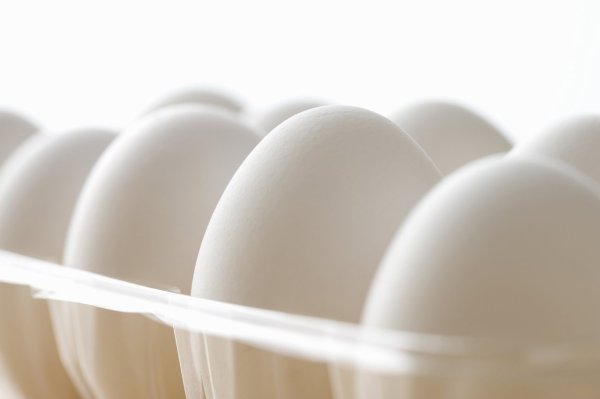 What other nutrients does chicken egg have besides protein quality? If you can t eat eggs, you can eat these 5 types of food substitutes