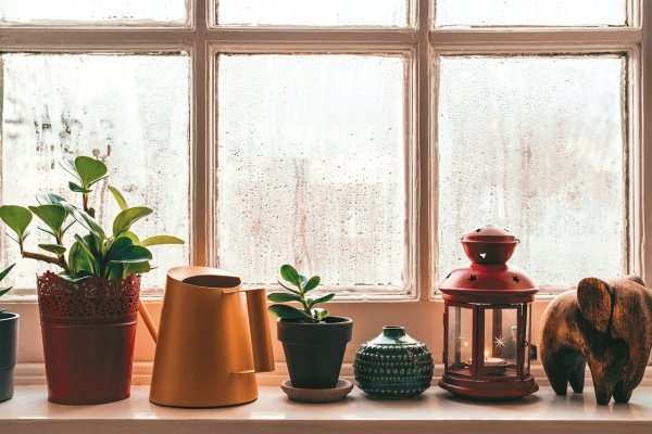 Do not place the dehumidifier in the wall... Pay attention to 6 key points when using the dehumidifier! There are also 7 natural moisture-removing products recommended