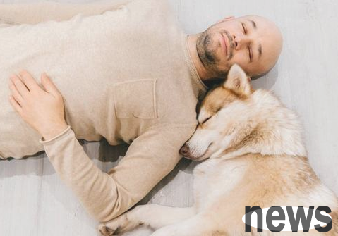 Intimacy is a great training! Where do dogs like to sleep at home? You can tell whether it is kinship to you in 4 parts