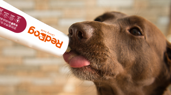 The fastest way to replenish blood from dogs, be sure to collect it!