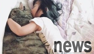 This is the chinchilla! The former cute young meat turned into a fat man and a giant cat