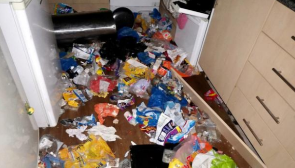 The owner moved and left behind 2 cats and 1 dog. 10 days later, a foul smell came from the house. When he opened the door, he found...