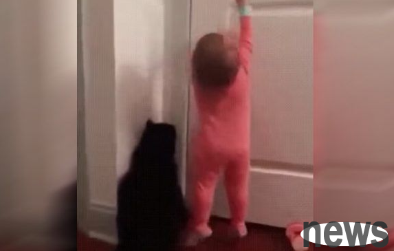 Too short to reach the doorknob, the cat successfully opened the door for its little owner