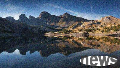 Pet owners in Australia and Queensland have new options, with an increasing number of people seeking traditional Chinese medicine to treat dogs and cats