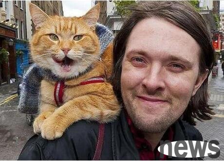 A stray cat died unexpectedly, this is its gift to us