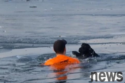 The dog wailed for help on the ice, and the man in orange jumped into the ice lake and swam 8 meters to save the black dog